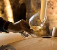 Main versant du vin blanc dans un verre