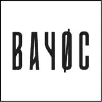 Logo Bayoc